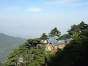 離心泵運(yùn)行時呈現(xiàn)不同漏液是什么情況
